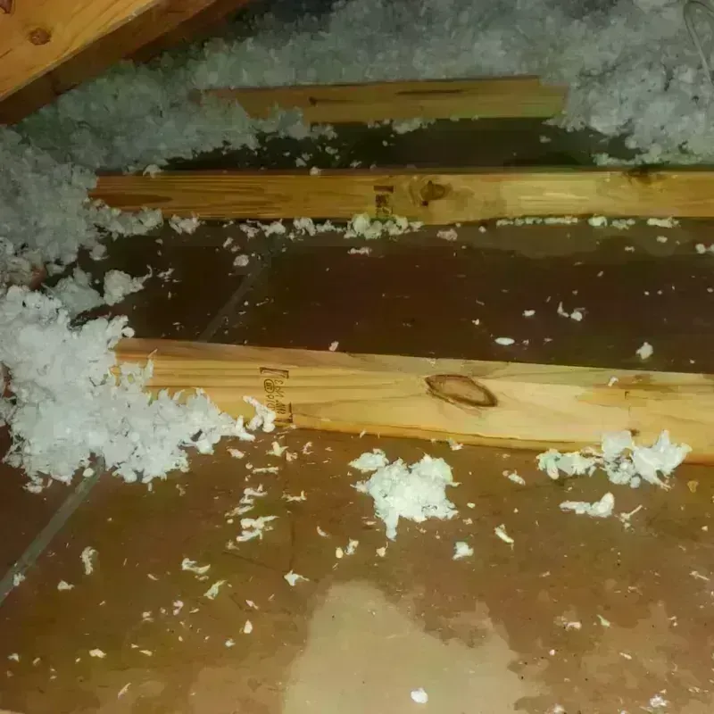 Attic Water Damage in Crook County, WY