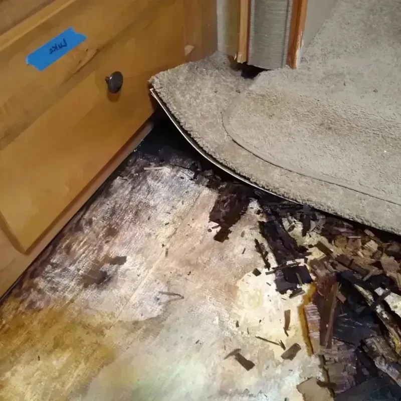 Wood Floor Water Damage in Crook County, WY